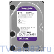 Жесткий диск Western Digital 2 ТБ Purple WD20PURZ